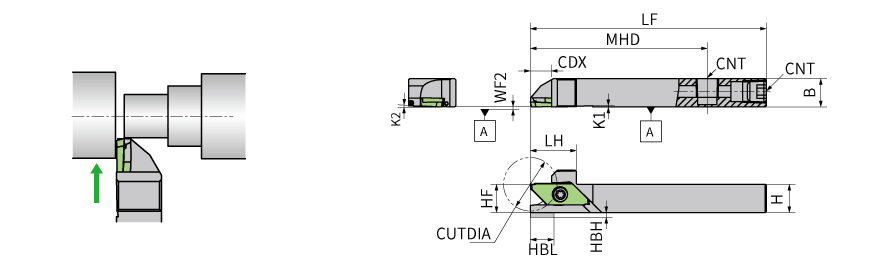 CTPAL12H-OH