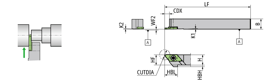 CTPL08