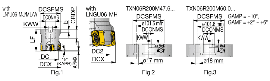 TXN06R063M22.0E06